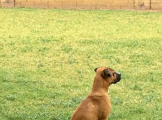 15809 N Dante Dr, Phoenix, AZ 85023