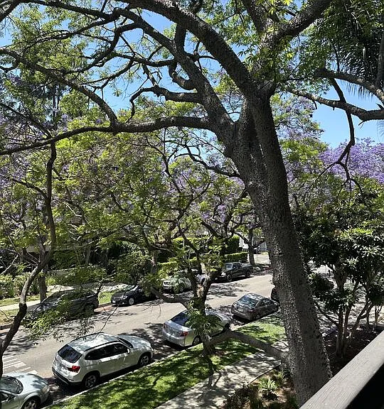 324 N Palm Dr #206 — Photo 38