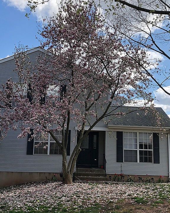 1st image of 115 Grantham Dr