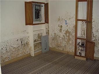 5th image of 2418 N 35th St