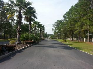 8726 Woodleaf Blvd, Wesley Chapel, FL 33544