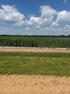 0 County Road 876, Caraway, AR, 72419