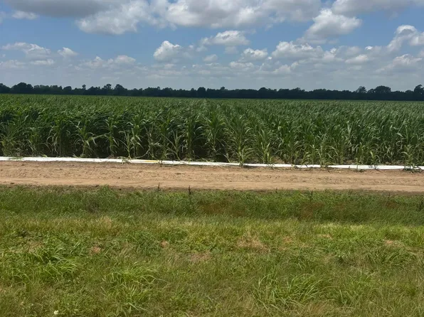 0 County Road 876, Caraway, AR 72419