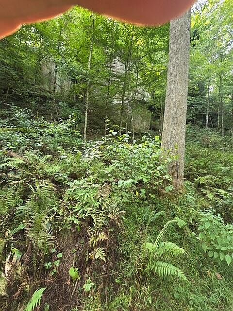 1st image of LOT 62 Fixer Rd