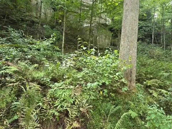 LOT 62 Fixer Rd, Zoe, KY 41397