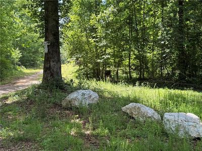 Ellijay Rd, Talking Rock, GA, 30175