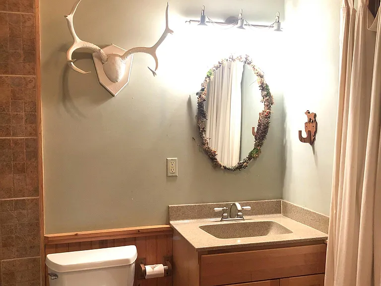 Pretty bathroom with elegant mountain touches.
