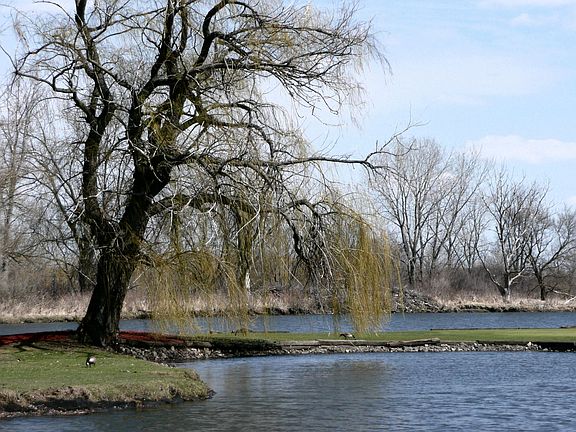 Nearby Golf Course Pond View