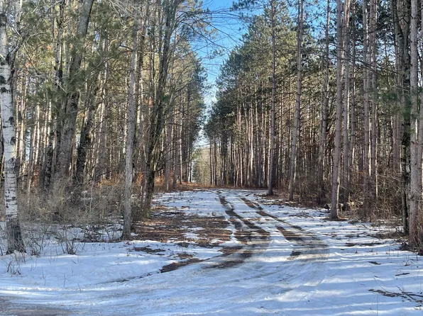 Tyler Rd, Lakeview, MI 48850