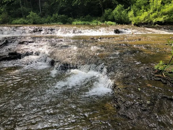 175 Luna Mill Rd, Smithville, TN 37166