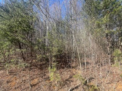LOT 1 Bluets Rd, Newport, TN, 37821