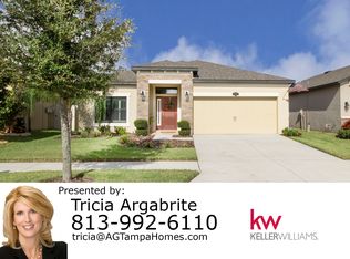 11412 Blue Crane St, Riverview, FL 33569