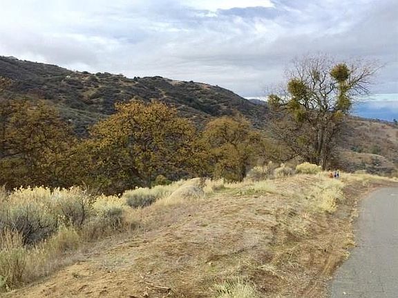 4th image of 22401 Saddleback Dr Lot 174
