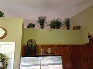 5th image of 7436 Essex Dr