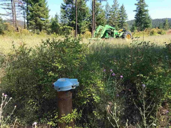 18101 E Elliot Rd, Mead, WA 99021