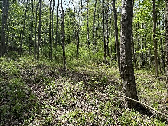 4th image of 16 Deer Pond Access Lot 43