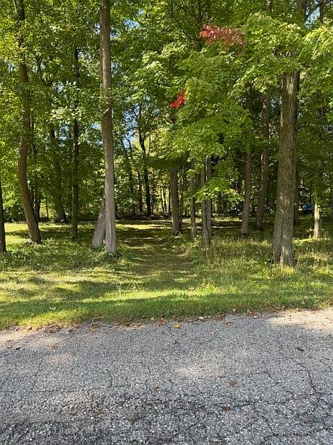 2nd image of Timberlane Dr