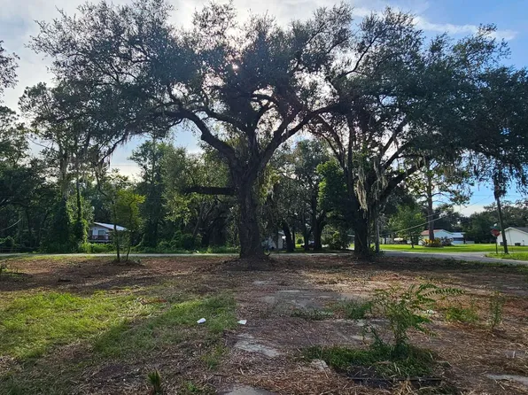 126 SW Laurel St, Mayo, FL 32066