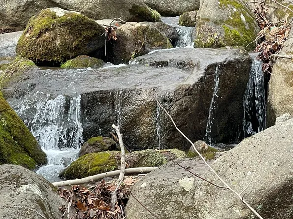 2399 Cool Springs Rd #1, Thaxton, VA 24174