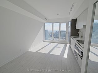 55 Mercer St #4903-C01, Toronto, ON M5V 1H2