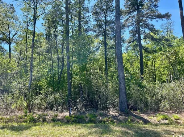  Hamp Rd., Marion, SC 29571