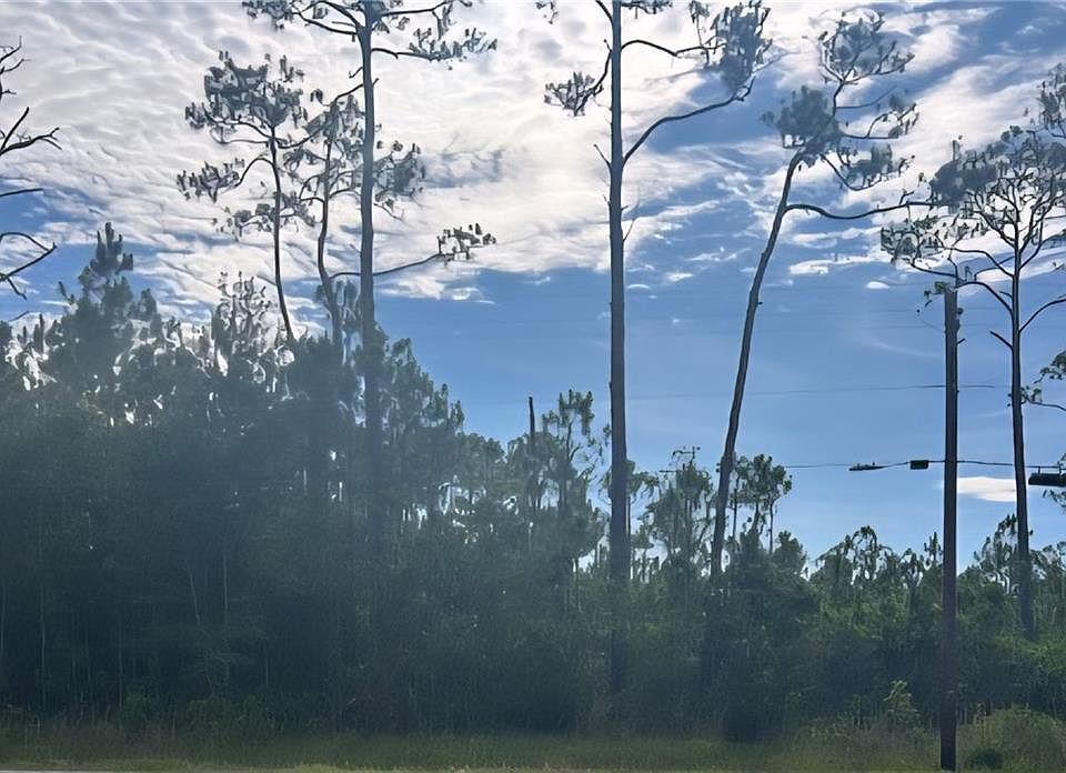 1st image of 13565 Dauphin Island Pkwy Lot B