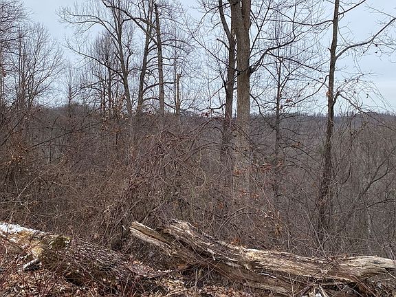 5th image of 0 Alsept Fork Rd