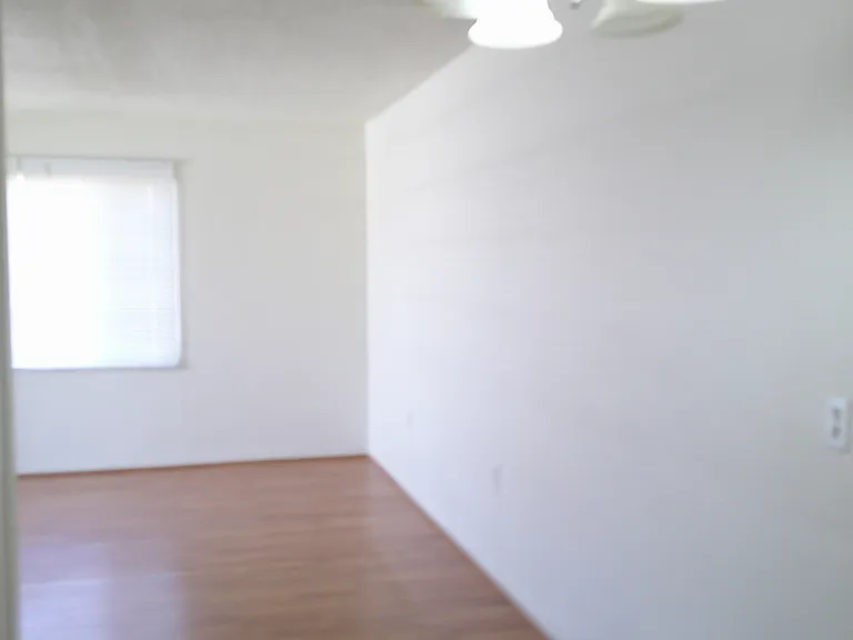 1132 S Roosevelt St #1 — Photo 15