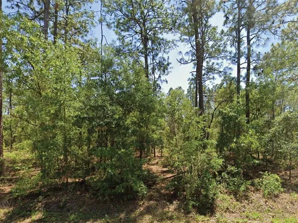 NW Water Oak Ave Lot 55, Dunnellon, FL 34431