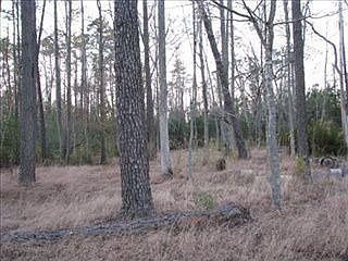 2nd image of 1524 Highsmith Rd
