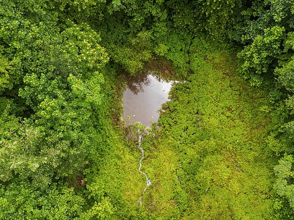4th image of 5609 Wilkins Branch Rd