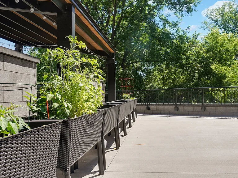 Ardor on the Bluffs South Loop Residences — Photo 15