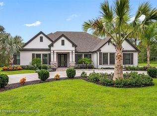 17466 Nokota Ave, Hudson, FL 34667