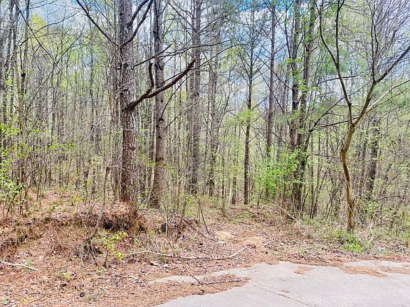 2nd image of 0 Woods Rd