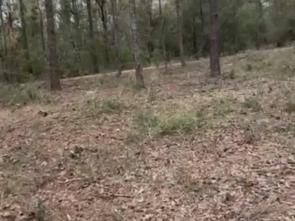 LOT 28 E Black Cherry Dr #29, Defuniak Springs, FL 32433