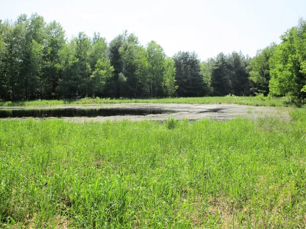 0 Old 35 Rd, Webster, WI 54893
