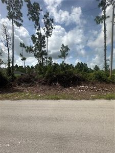 1054 Coleridge St, Lehigh Acres, FL, 33974
