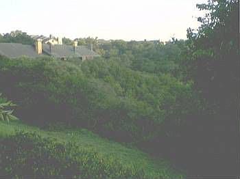 4th image of 8422 Antero Dr