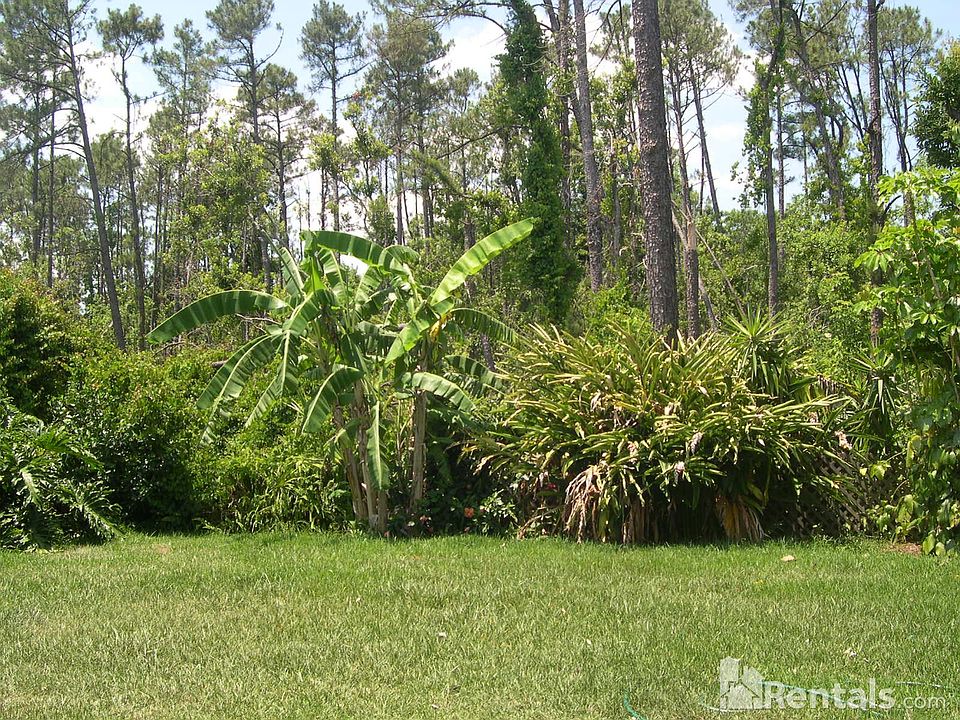 2nd image of 10731 Harkwood Blvd