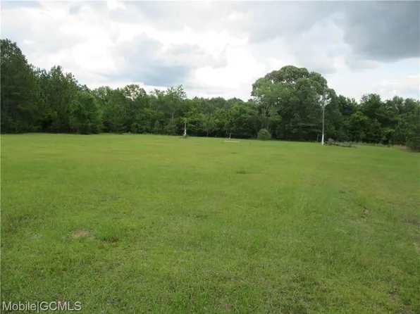 6625 Scoutshire Camp Rd, Citronelle, AL 36522