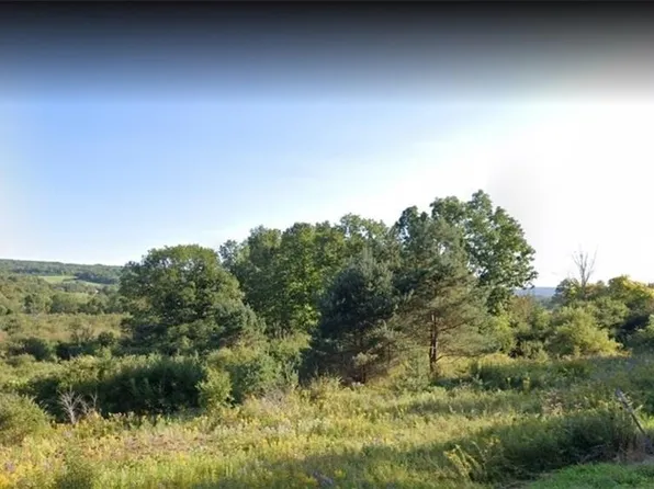 0 State Route 226 Hwy, Tyrone, NY 14815