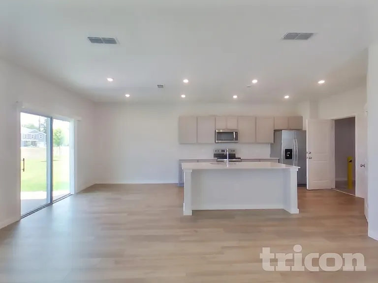 56 Brazil Nut Cir — Photo 5