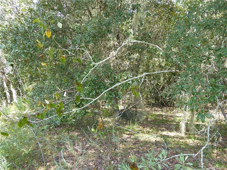 2nd image of 1575 E Monopoly Loop