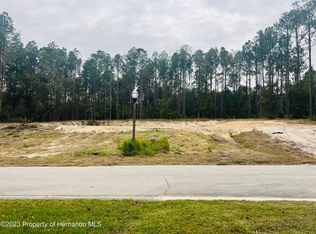 20063 English Walnut Pl, Brooksville, FL 34601