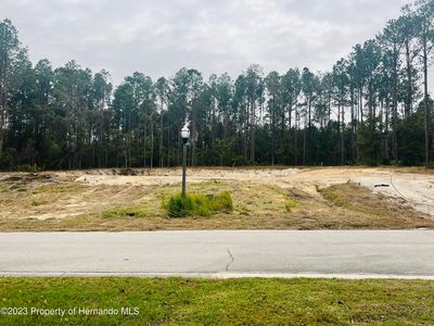 20063 English Walnut Pl, Brooksville, FL, 34601