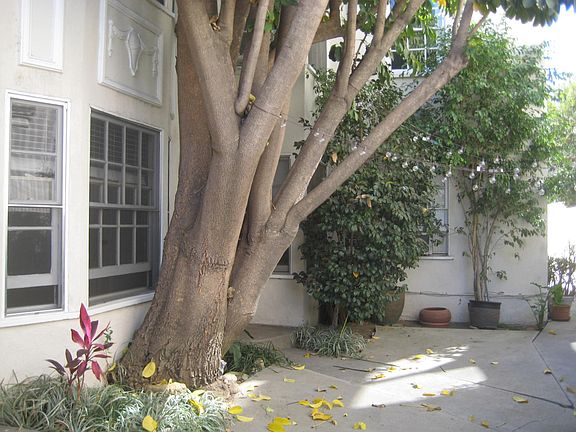 4th image of 12044 Guerin St #12044