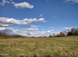 Springfield Dr, Meadowview, VA 24361