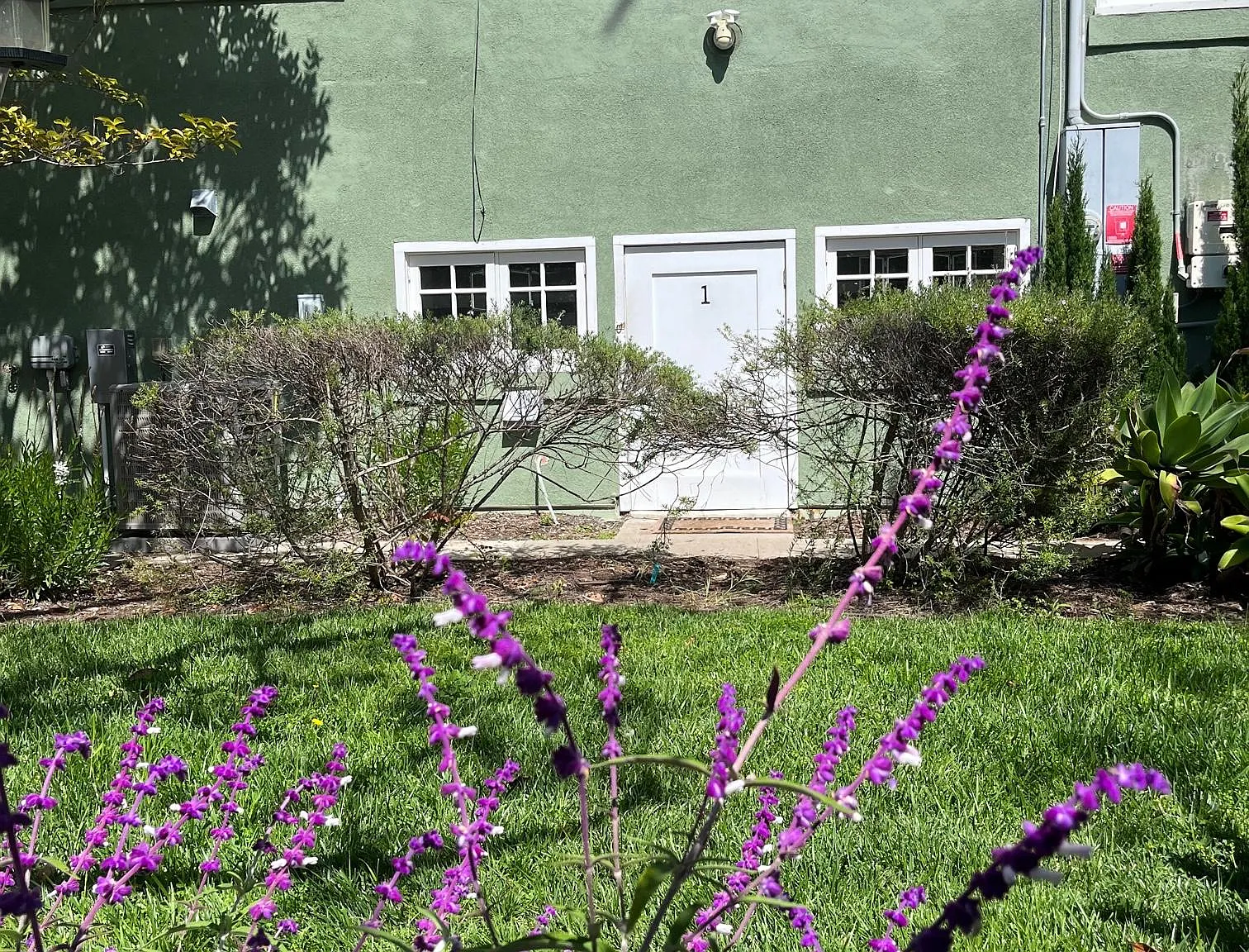 Studio, 300 sqft, $1,845 — Photo 2