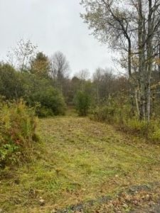 0 Hollow Rd, Mc Donough, NY, 13801