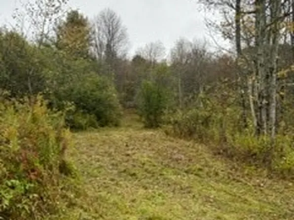 0 Hollow Rd, Mc Donough, NY 13801